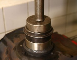 29